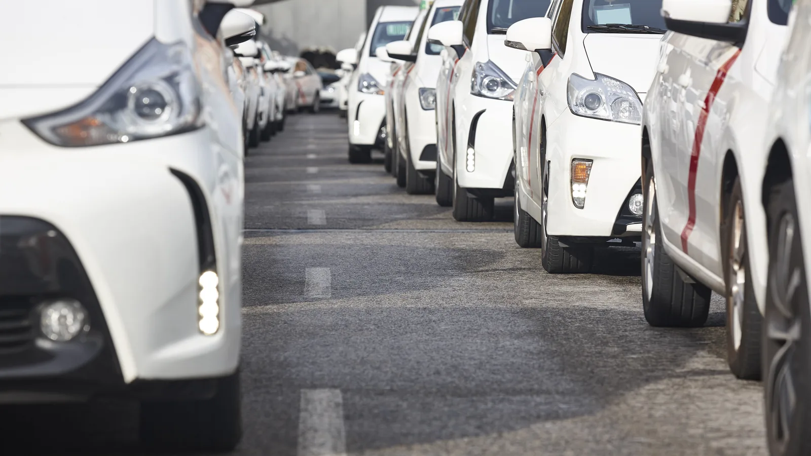 A tightly packed row of white cars parked nose out in a company parking lot