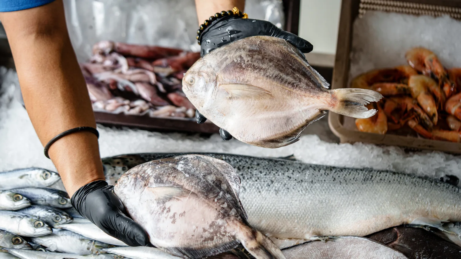 A worker in black gloves lifting a whole flatfish from a bed of ice at a seafood counter