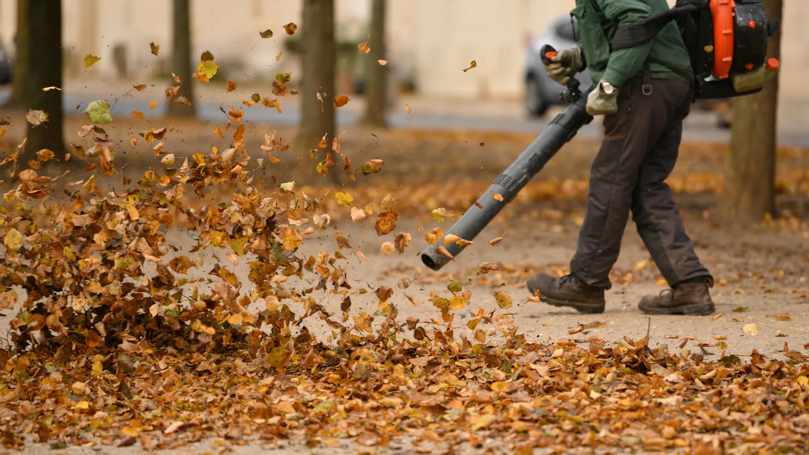 A worker with a backpack leaf blower clears fallen autumn leaves from a tree-lined paved path