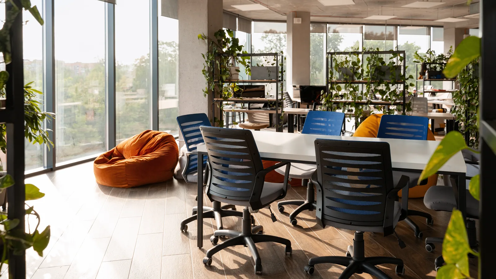 An open-plan office with long windows and plants along the desks
