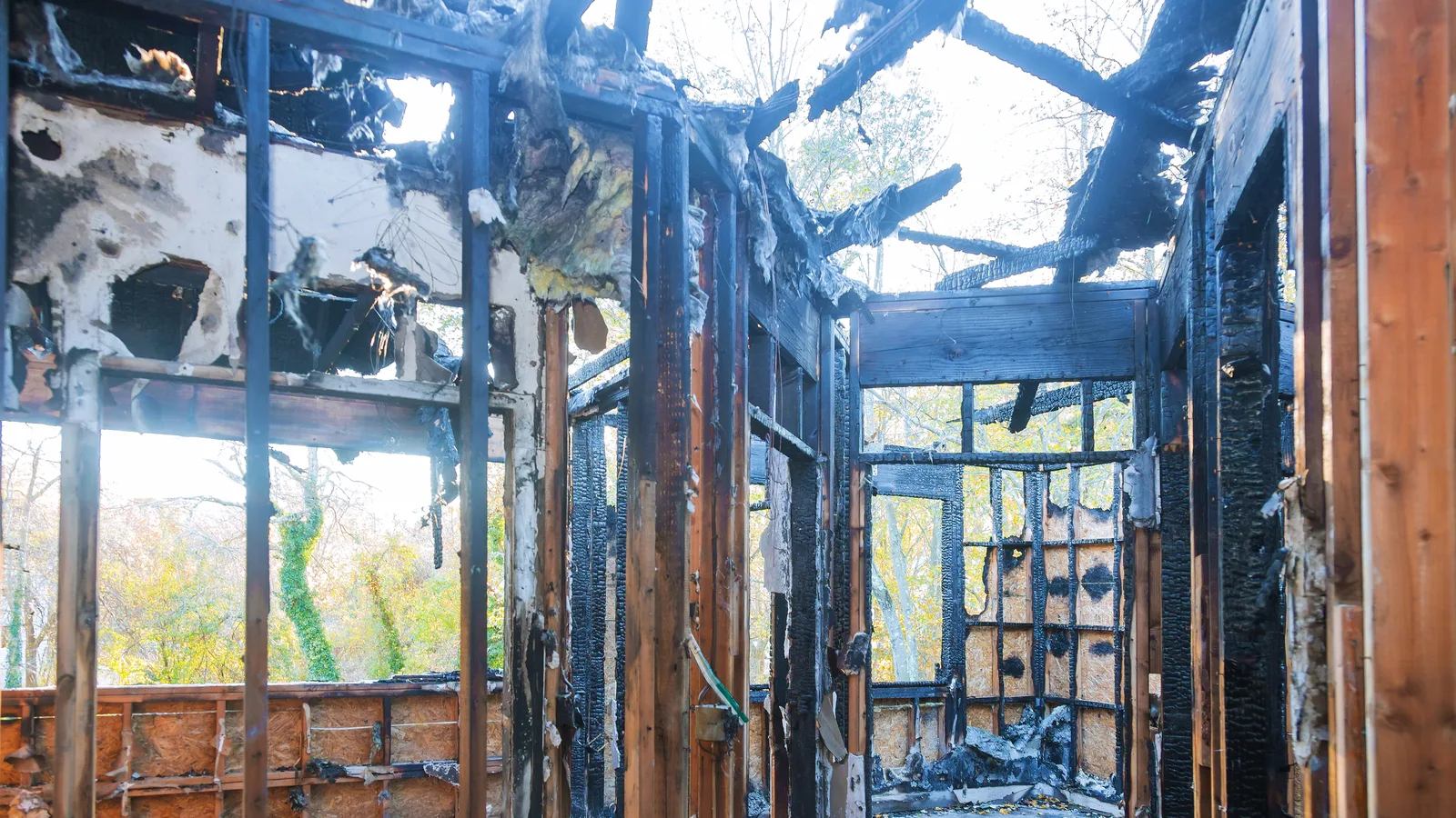 The charred wood framing of a building interior after a fire, with daylight through the burned roof