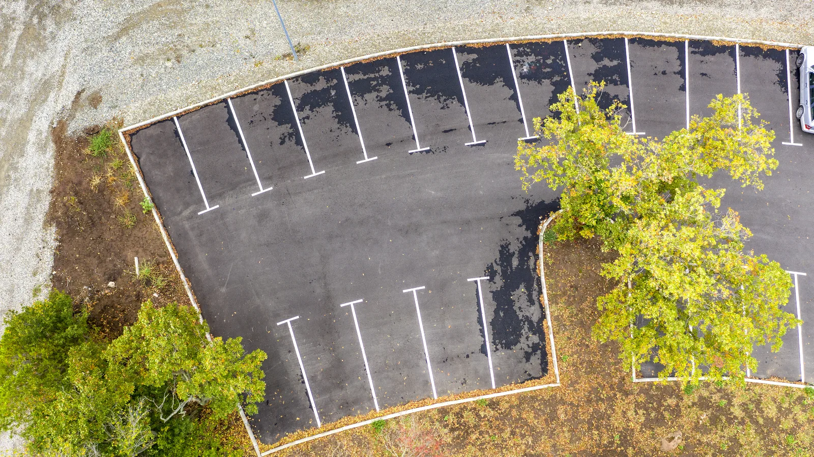 Aerial view of an empty striped asphalt parking lot bordered by trees